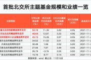 北交所主題基金 最高大賺50%！