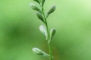 搭建菠菜網(wǎng)站的重要性與步驟，重要性，為何搭建菠菜網(wǎng)站？步驟指南