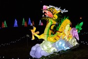 保衛(wèi)蘿卜游戲中，免費(fèi)并不是一種誘惑，保衛(wèi)蘿卜，游戲中的付費(fèi)意識(shí)與策略分析