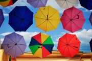 夢(mèng)中的雨意，夢(mèng)中的雨意，詩(shī)意與情感的交織。