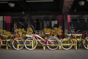 "車(chē)庫(kù)禁停新能源車(chē)"？廣東省博物館回應(yīng)