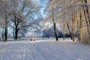 冰雪奇緣游戲——讓你置身于一個全新的冰雪世界！，冰雪奇緣冒險，沉浸式游戲體驗帶你穿越奇妙冰雪世界