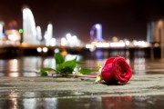 夢(mèng)中的情感紐帶——與男朋友的朋友的奇妙邂逅，夢(mèng)中的情感紐帶，與男朋友的朋友的奇妙邂逅的回憶與體驗(yàn)