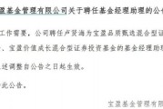 罕見(jiàn)！寶盈基金詭異的基金經(jīng)理變動(dòng)！