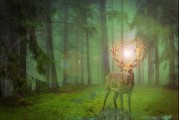 甲蟲游戲的無限可能——探索免費游戲的世界，無盡的游戲宇宙，探索免費游戲世界的新機遇