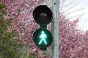 新車輪胎發(fā)黃的原因是什么？如何預(yù)防和處理這一問題？