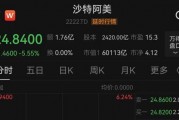 中東股市大跌，沙特阿美暴跌900億美元！