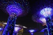 藍球之夢，一場夢幻的籃球之旅，藍球之夢，一場夢幻的籃球之旅