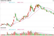電解液“一哥”天賜材料業(yè)績再腰斬，比兩年前少賺50億元