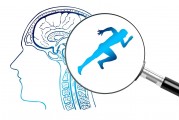 腦部傷殘判斷標(biāo)準(zhǔn)_腦部傷殘等級
