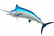 無限制的海洋冒險，游戲釣魚免費下載體驗，無盡海洋，魚類垂釣樂趣無窮！輕松下載并享受游戲捕魚的樂趣