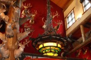 游戲盛宴，盤點(diǎn)市面上最熱門的免費(fèi)網(wǎng)游游戲大全，年度爆款免費(fèi)網(wǎng)游盤點(diǎn)，你最愛(ài)的是哪一款？