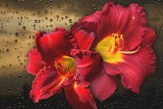 妃容天下游戲全線上免費！你還在等什么？這款以歷史背景和精美畫面為題材的手機游戲，即將在全線上全面開啟。，妃容天下手游預(yù)約開啟