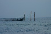 夢中的魚影，一次自我探索的殺魚夢，夢中之魚影，一次自我探索的殺魚夢境