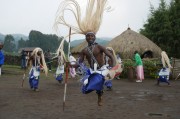 夢(mèng)中的芒果之旅，夢(mèng)游芒果之旅
