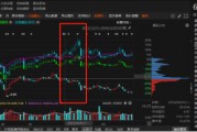 祥源文旅非經(jīng)營性資金占用雖已歸還，但仍被出具警示函！