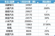 蔚來跟進特斯拉5年0息政策，1月新勢力車企座次再一次生變