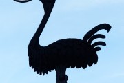 夢(mèng)中的蛇咬人，解讀與解析，夢(mèng)中的蛇咬人，解讀與解析