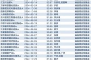 2024年基金四季報(bào)顯示：次新主動(dòng)權(quán)益基金建倉積極