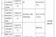 永安財險白銀中支被罰6萬元：給予投保人保險合同外利益
