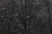 夢(mèng)中雪舞，心靈的洗禮，夢(mèng)中雪舞，心靈的洗禮
