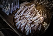 夢(mèng)游奇幻之?！獕?mèng)到奇怪的魚(yú)