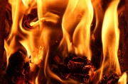 行尸走肉游戲免費(fèi)下載，讓你在末日中找尋生存之道，高清免費(fèi)的行尸走肉游戲大放送，末世求生必備神器