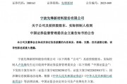 因涉嫌信息披露違法違規(guī)，先鋒新材及總經(jīng)理盧先鋒被立案