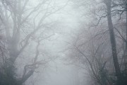 夢境中的奇妙之旅，一次關(guān)于屎的夢境解析，夢境中的奇幻之旅，屎的夢境解析