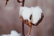 期貨可用資金為負(fù)的情況如何避免？避免可用資金為負(fù)的方法有哪些？