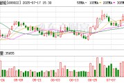 控股股東所持部分股票被司法凍結(jié) 瀚川智能面臨實控人變更的重大風(fēng)險