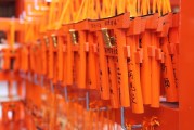無(wú)門檻的自由斗地主——游戲單機(jī)斗地主，一人一地一張牌，一鍵玩轉(zhuǎn)無(wú)門檻的免費(fèi)斗地主游戲