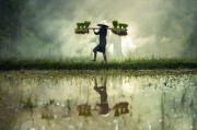 新華時(shí)評(píng)：觸及靈魂的反思才是真正的反思