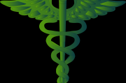 夢(mèng)中的神秘符號(hào)—龍頭蛇，夢(mèng)中的神秘符號(hào)，龍頭蛇