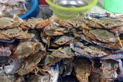 夢(mèng)中奇遇，螃蟹與魚的共舞，夢(mèng)中奇遇，螃蟹與魚的共舞