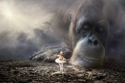 夢中的預(yù)言者——一次奇妙的算命夢，夢中的預(yù)言者，奇妙的算命夢之旅