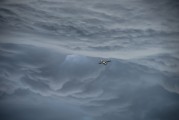 翱翔太空的戰(zhàn)爭(zhēng)游戲——星際爭(zhēng)霸，星際爭(zhēng)霸，浩瀚宇宙中的英勇對(duì)決