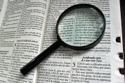 深入解析，如何使用Go語言高效搭建網(wǎng)站，Go語言高效構(gòu)建網(wǎng)站全攻略揭秘