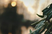 漫漫的ACG之路，尋找和熱愛的那份樂趣，ACG之路上，探索與熱愛的樂趣