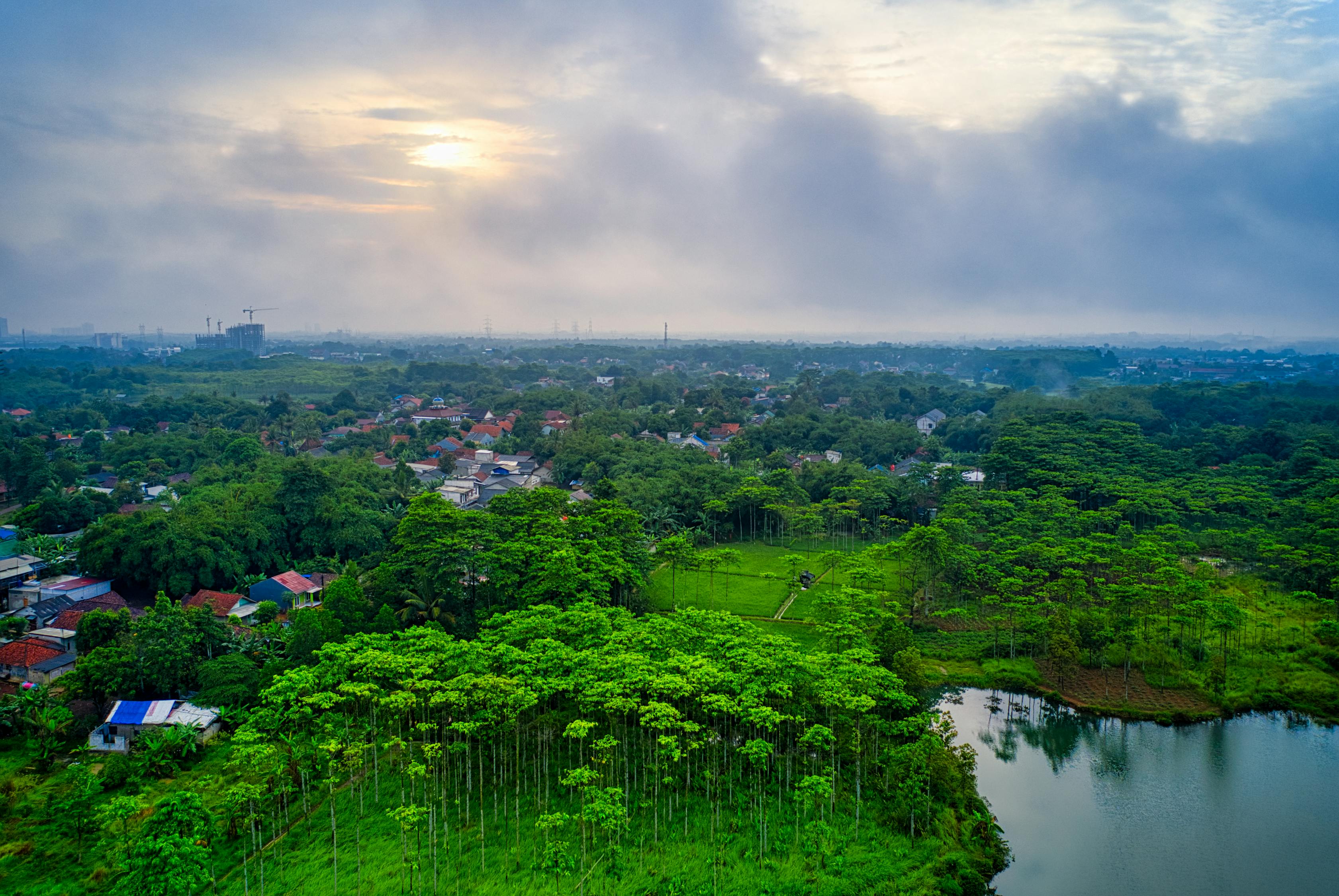夢(mèng)中雞鳴，一場(chǎng)奇妙的夢(mèng)境之旅