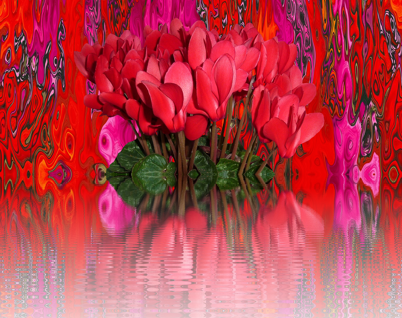 夢(mèng)到花，解讀夢(mèng)境中的花語