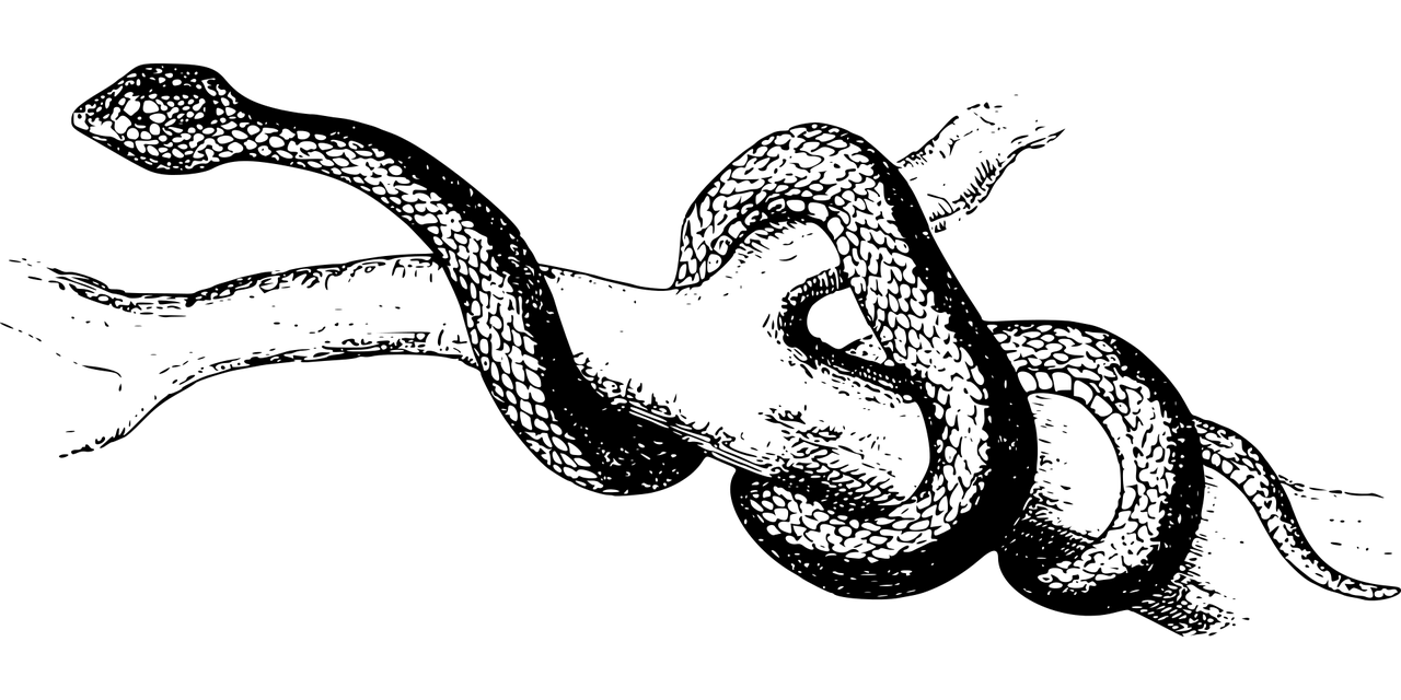 夢(mèng)魘之蛇，蛇咬與反擊的夢(mèng)境解析，夢(mèng)魘之蛇，蛇咬與反擊的夢(mèng)境解析