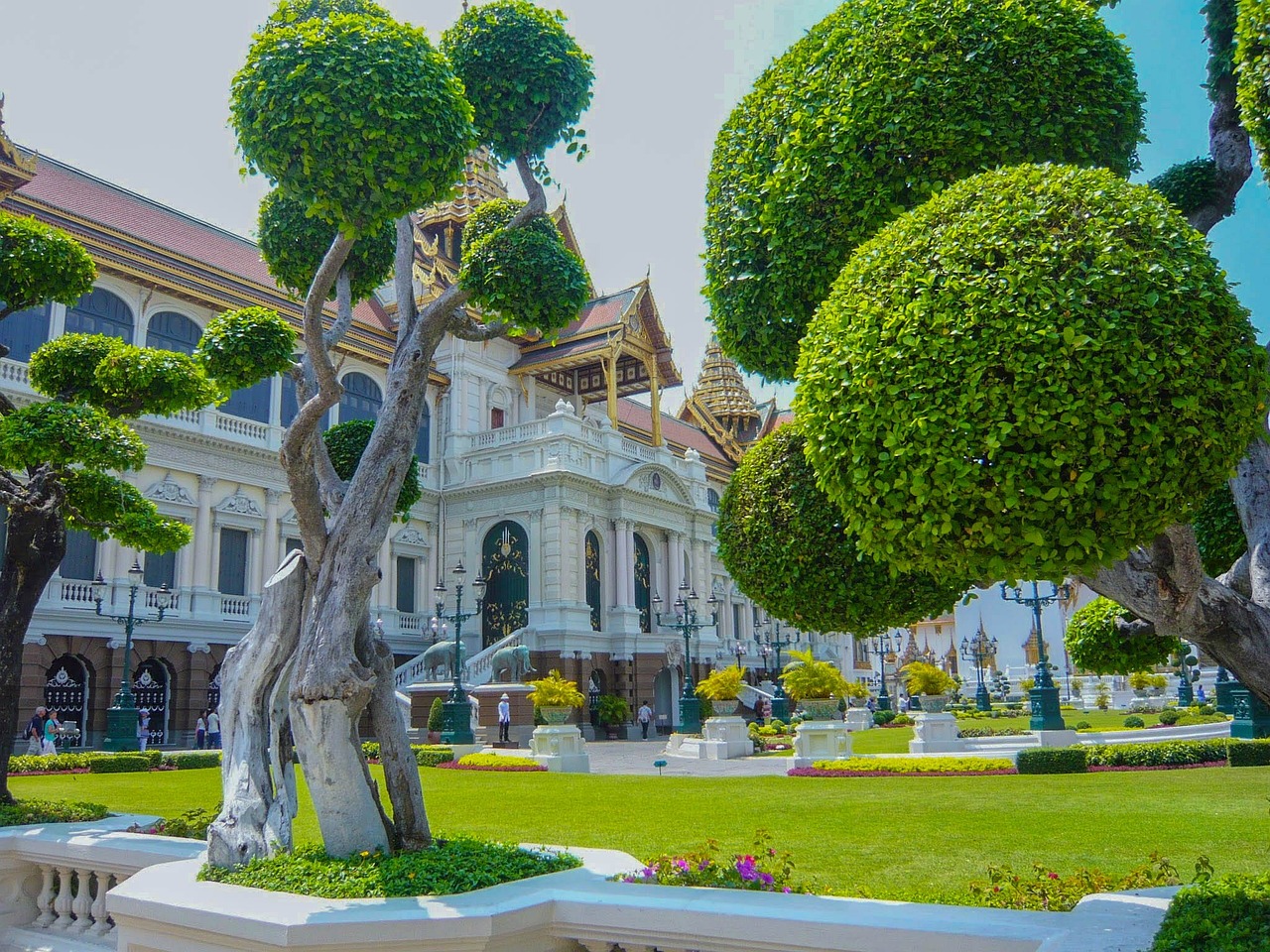 夢(mèng)中的李子樹，一段心靈的旅程