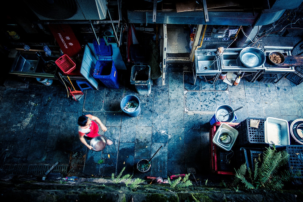 夢(mèng)中的毒蜘蛛，一場(chǎng)驚悚的夢(mèng)境之旅