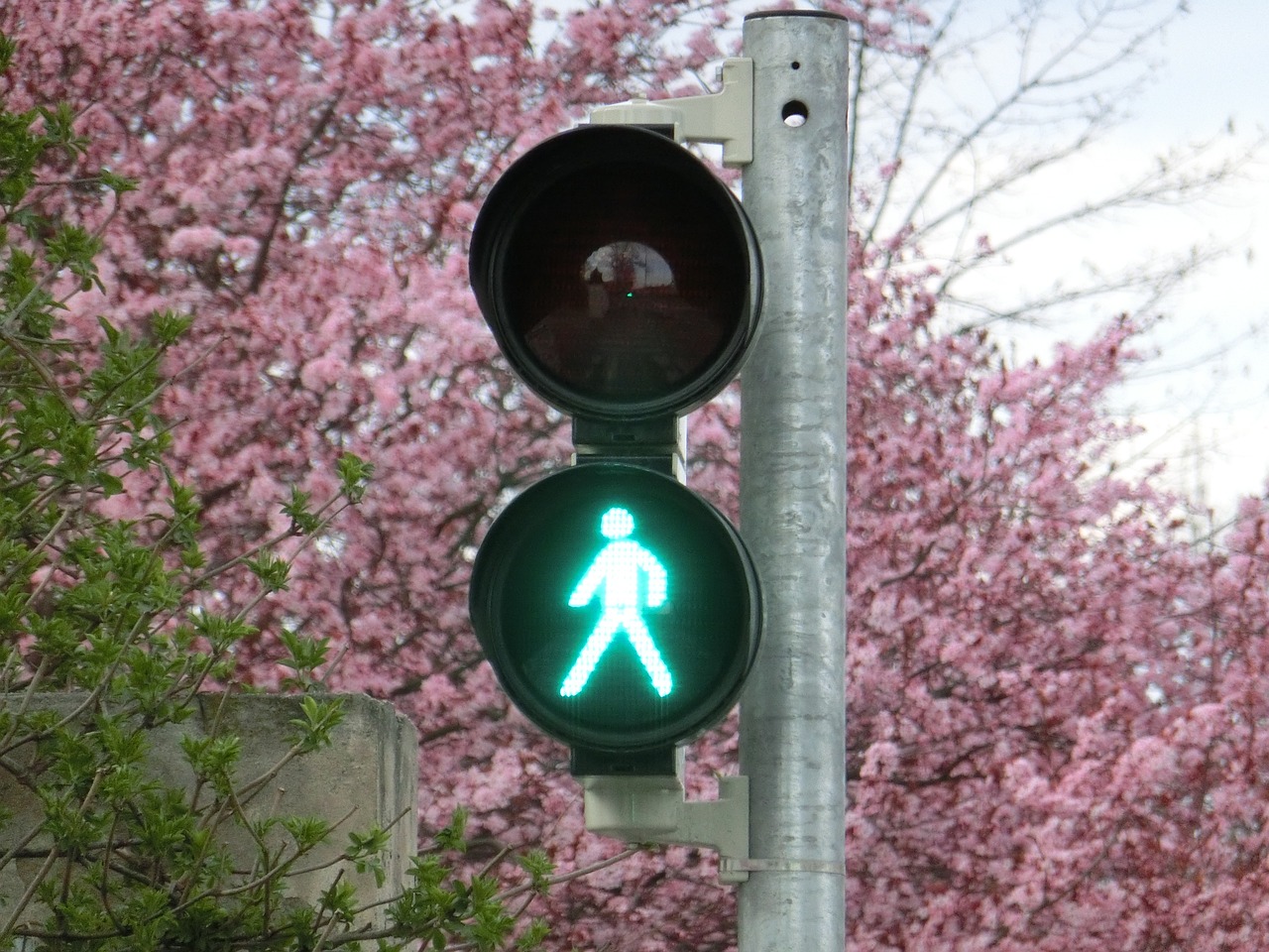 新車輪胎發(fā)黃的原因是什么？如何預防和處理這一問題？