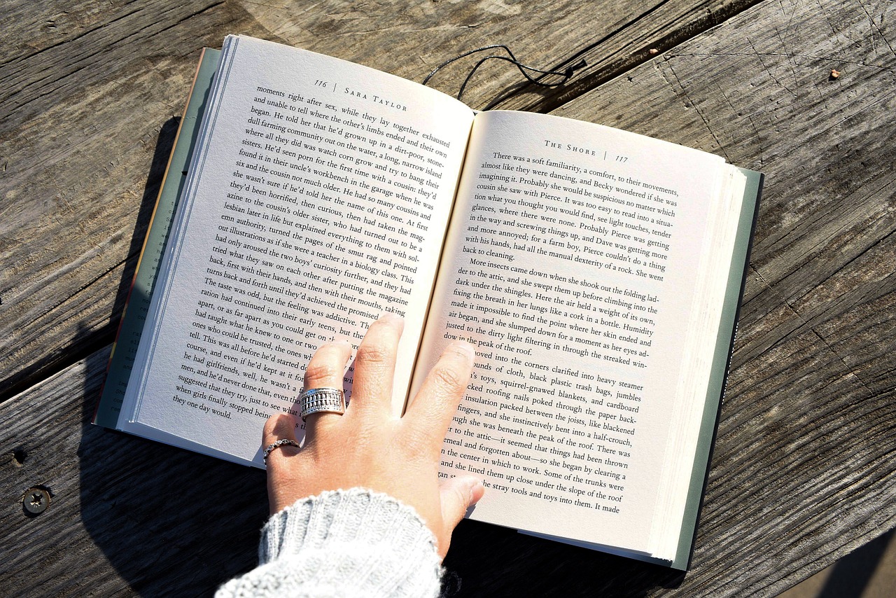 挖掘小說網(wǎng)站流量的秘密，策略和技巧