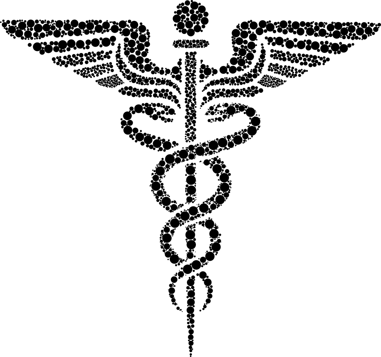夢(mèng)中蛇影，靜謐之下的深邃啟示