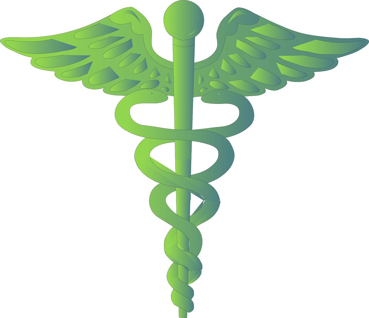 夢(mèng)中的神秘符號(hào)——蛇的啟示