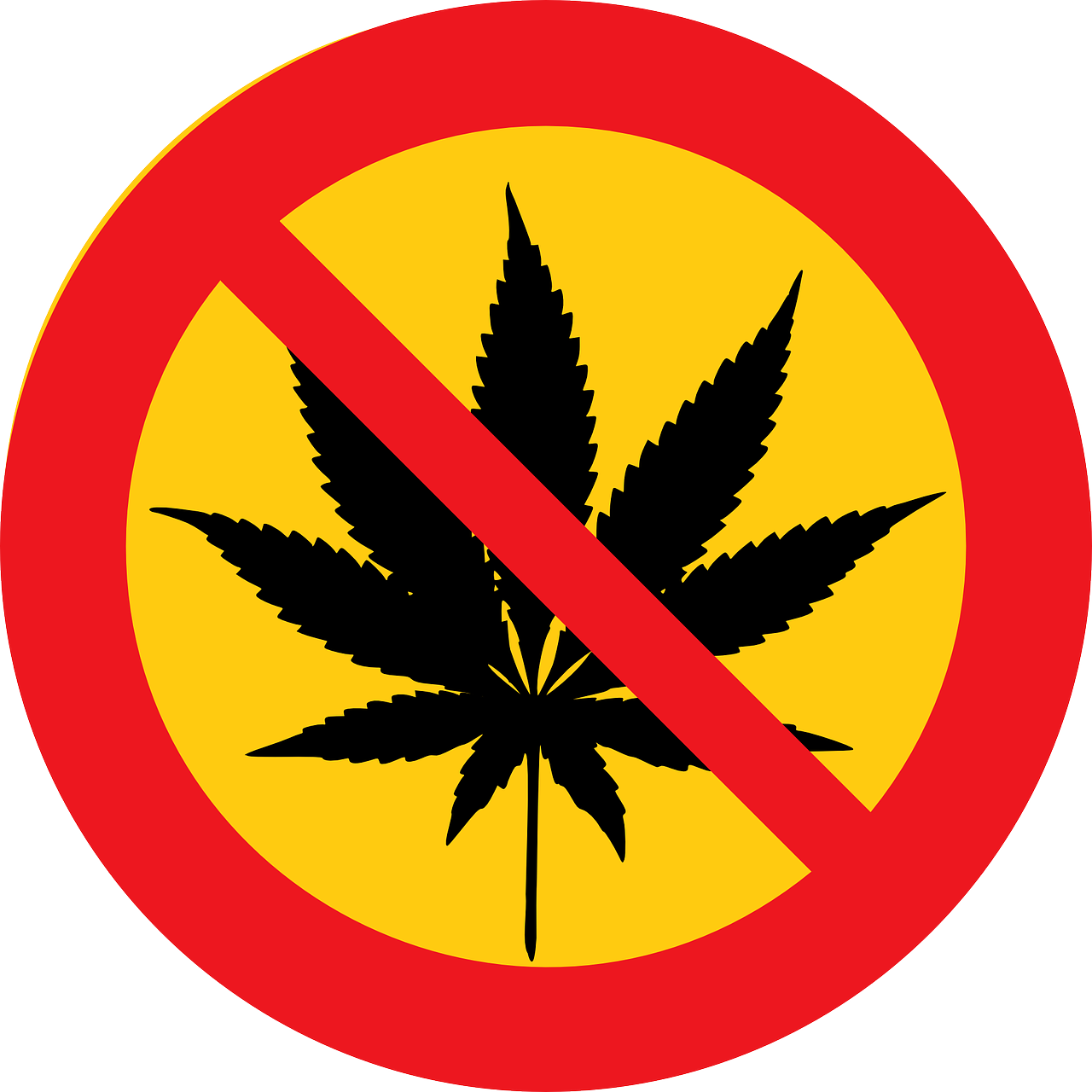 注冊英文表達及注意事項