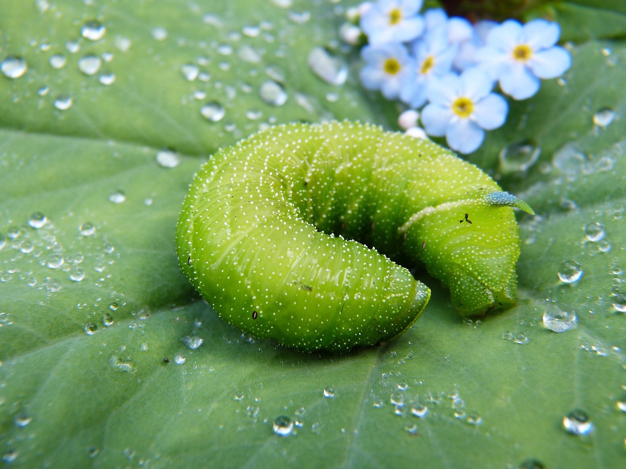 綠色環(huán)保，從注冊(cè)綠色開始—綠色平臺(tái)注冊(cè)指南